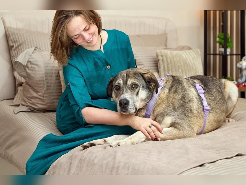 Großer sanfter Kusya ❤️ sucht ein liebevolles Zuhause