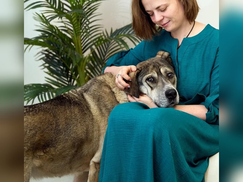 Großer sanfter Kusya ❤️ sucht ein liebevolles Zuhause