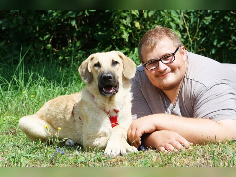 Wer schenkt unserem unsicheren Teo ein behütetes Zuhause?