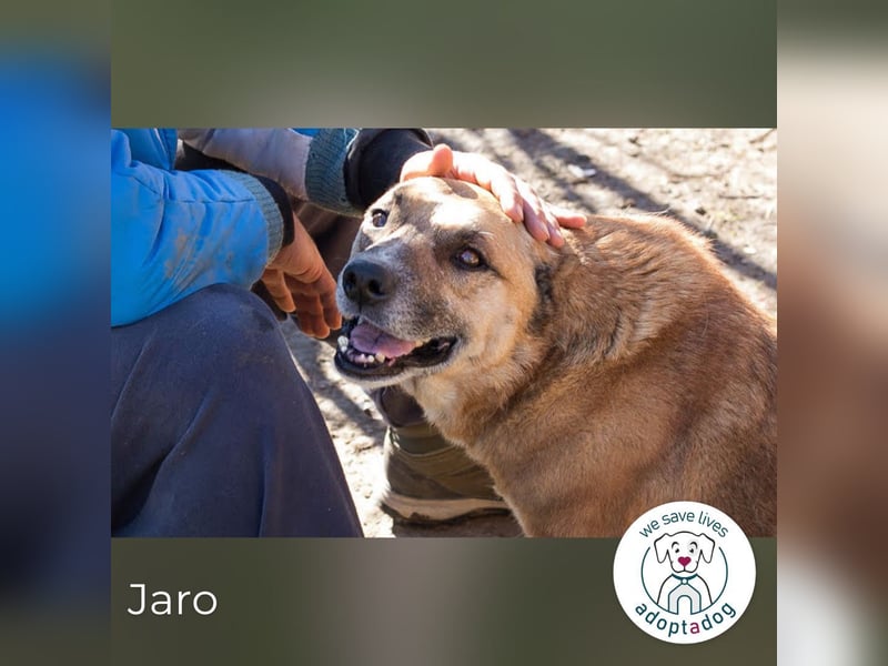 Jaro: Jeder hat Liebe verdient