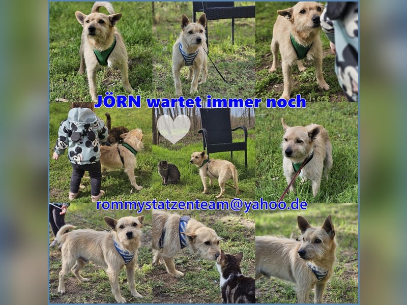 Jörn ist aufgeschlossen und lernbegierig
