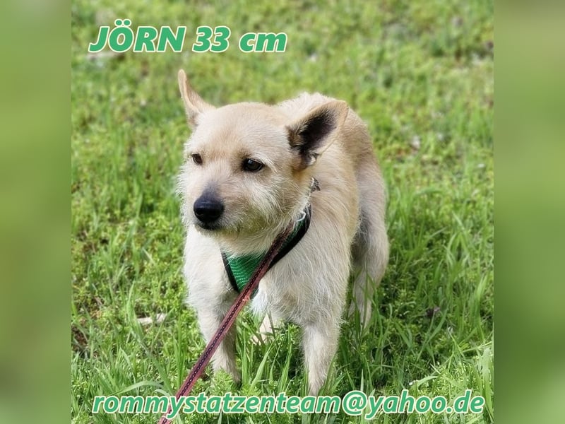 Jörn ist aufgeschlossen und lernbegierig