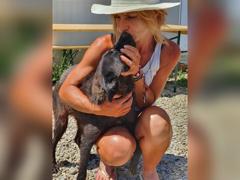 Roby: aus Mobbingopfer wird Handicaphund