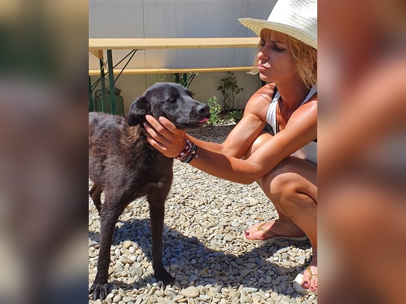 Roby: aus Mobbingopfer wird Handicaphund