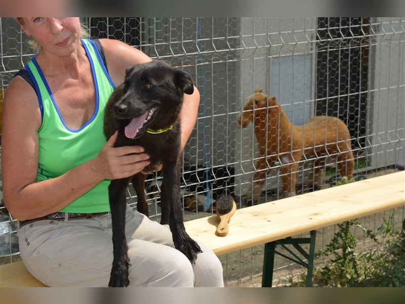Roby: aus Mobbingopfer wird Handicaphund