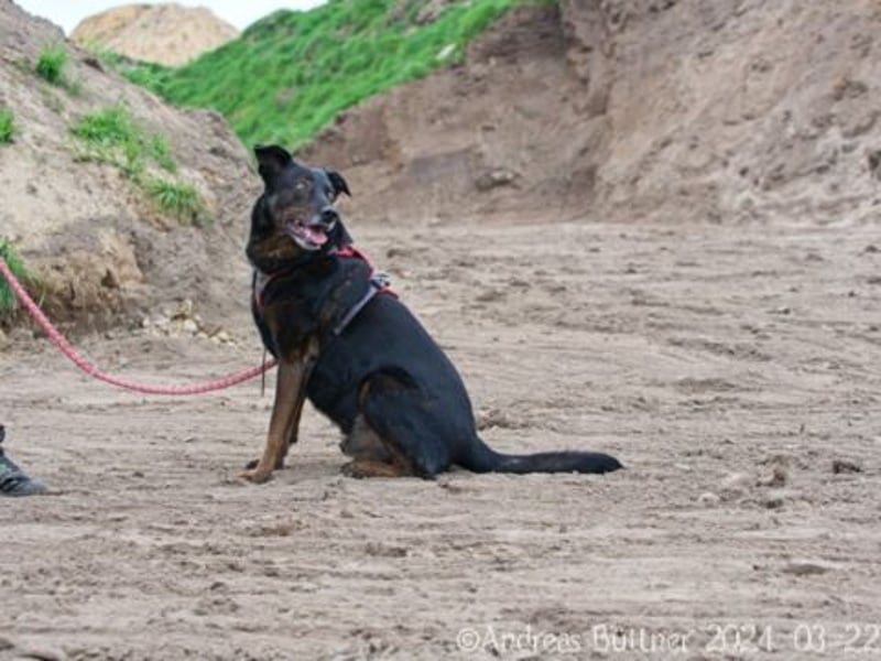 Moon ist ein richtiger Schatz