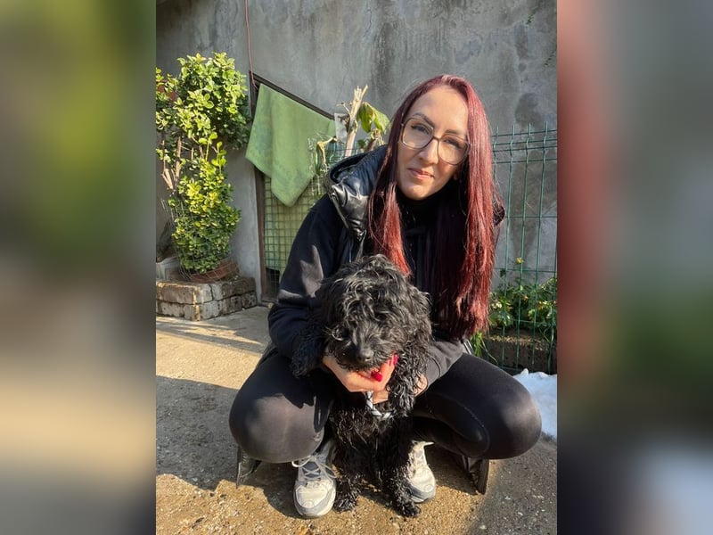 Charlie - unser liebenswerter Wuschel