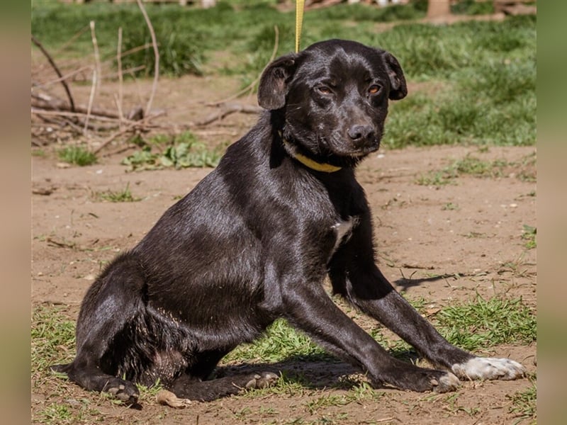 Kormi, sucht die Liebe für Immer