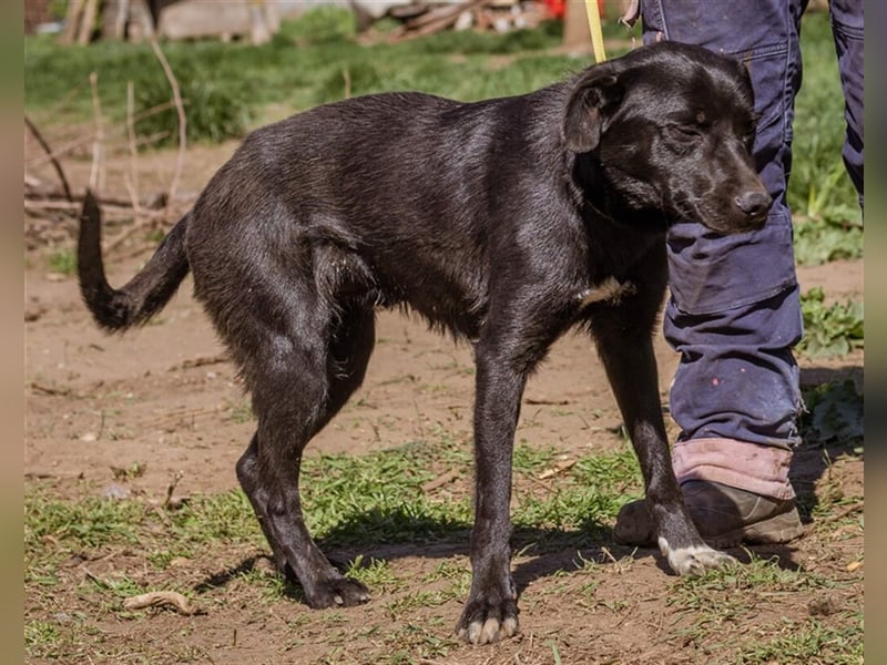 Kormi, sucht die Liebe für Immer