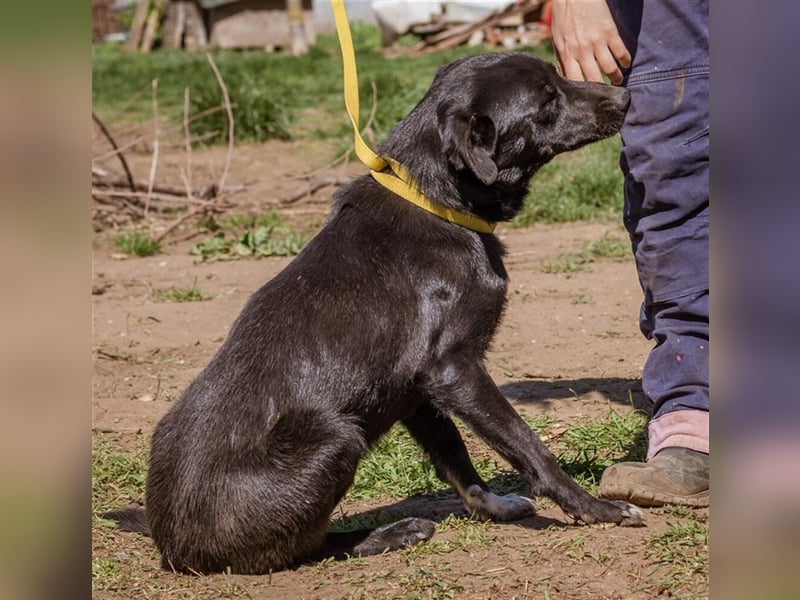 Kormi, sucht die Liebe für Immer