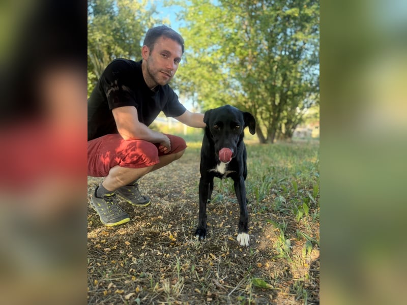 RAJAH - Ein sanfter Schatz mit großem Herz sucht seine Menschen