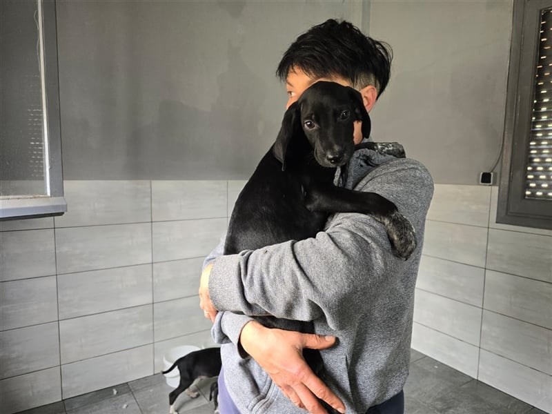 Elvis – Ein kleiner Abenteurer sucht sein Zuhause!