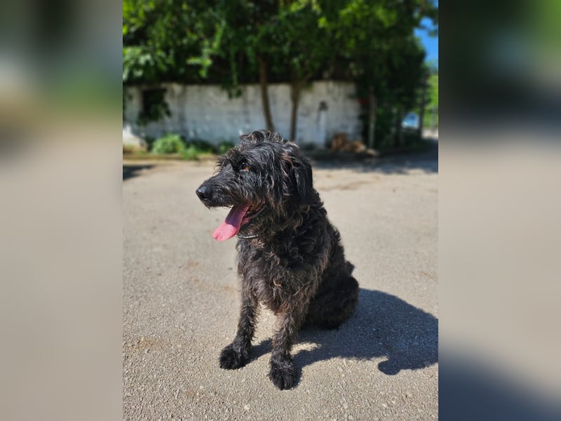 Ein neues Glück für Senior OTTO