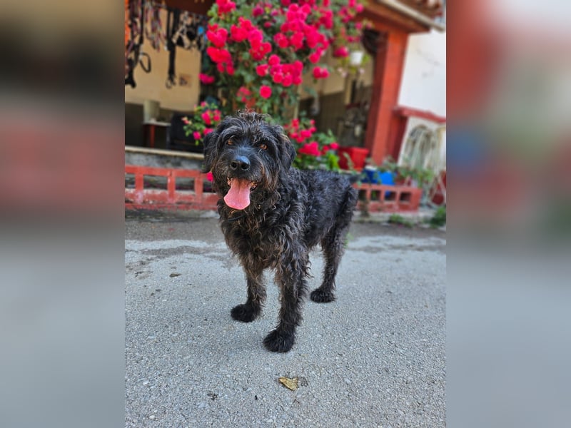 Ein neues Glück für Senior OTTO