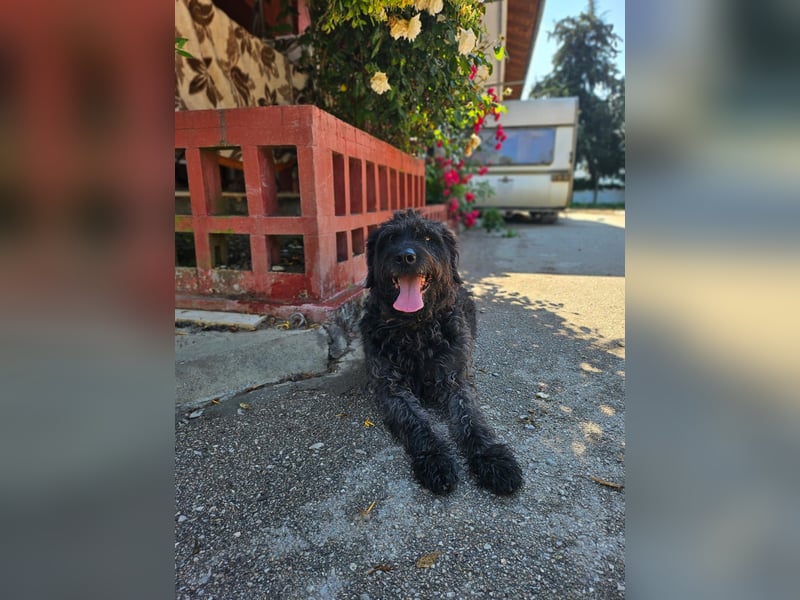 Ein neues Glück für Senior OTTO