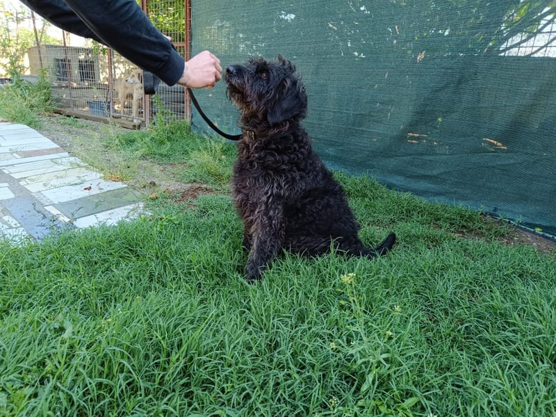 Ein neues Glück für Senior OTTO