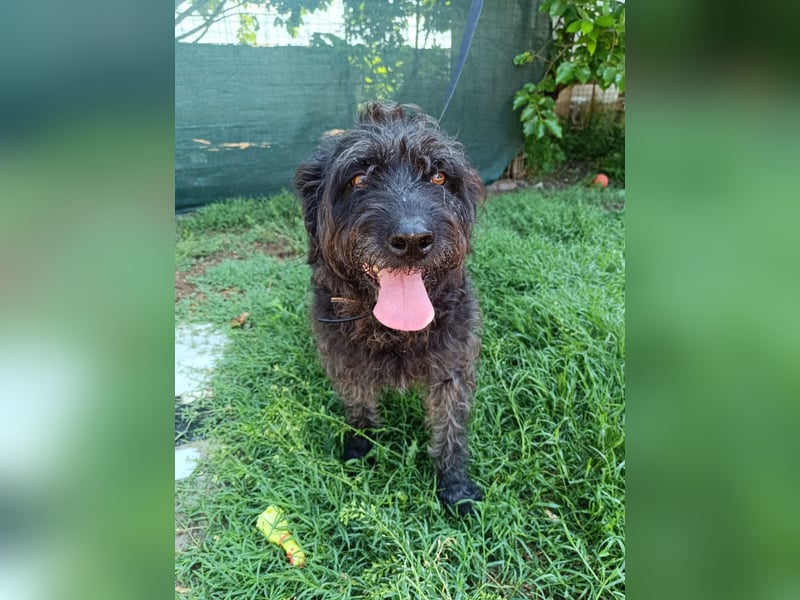 Ein neues Glück für Senior OTTO