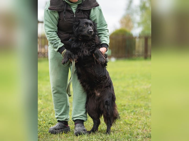 Rick-ein Plüschteddy sucht sein Zuhause