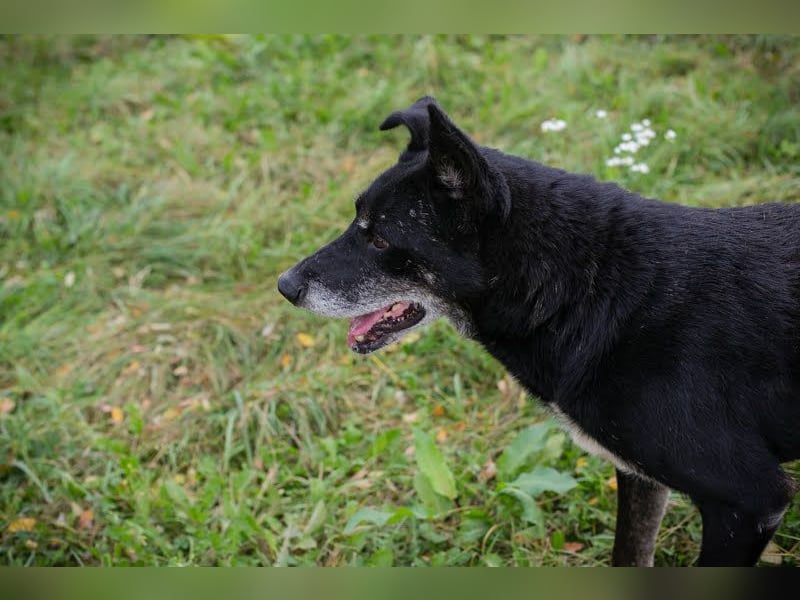Miky: Sucht dich!