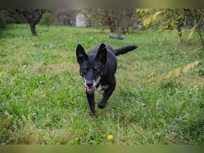 Miky: Sucht dich!