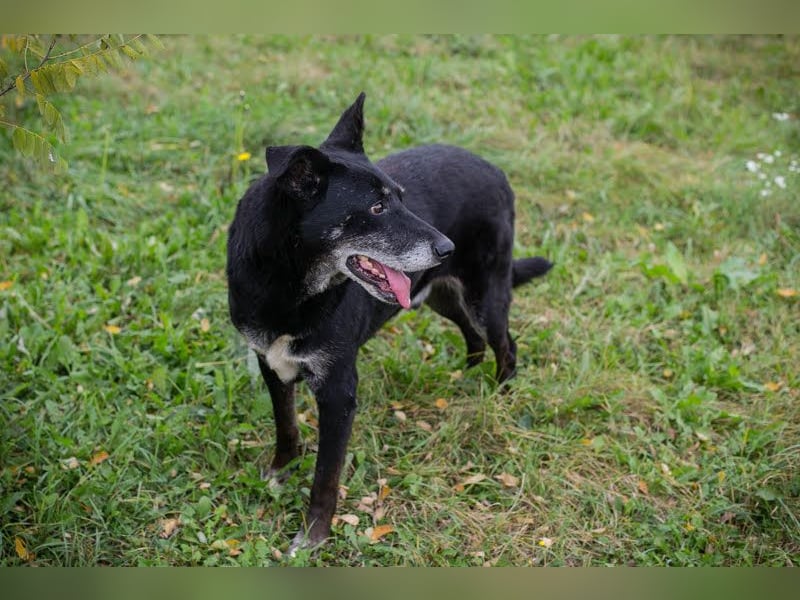 Miky: Sucht dich!