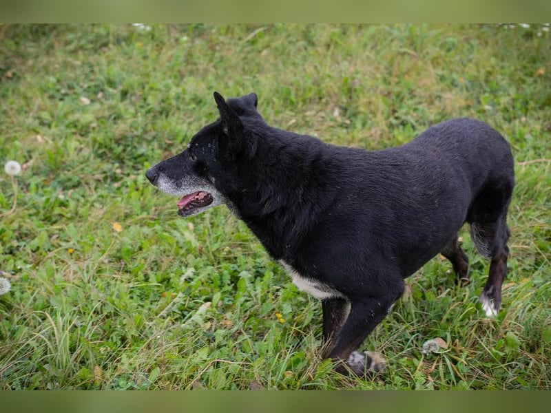 Miky: Sucht dich!