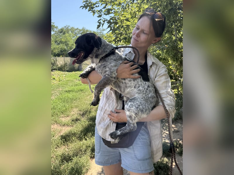 Rocky: lieb, fröhlich, Sonnenschein!