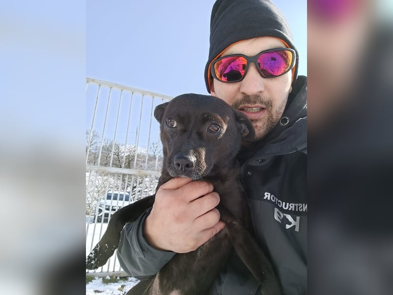 Sucki der kleine Schmuser
