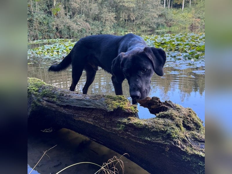 Jojo sucht sportlichen Menschen...