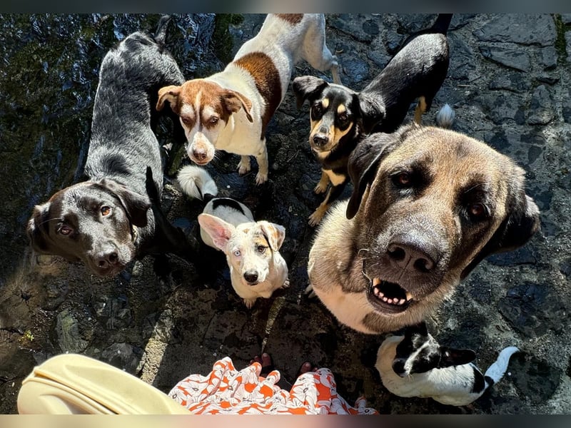 Jojo sucht sportlichen Menschen...