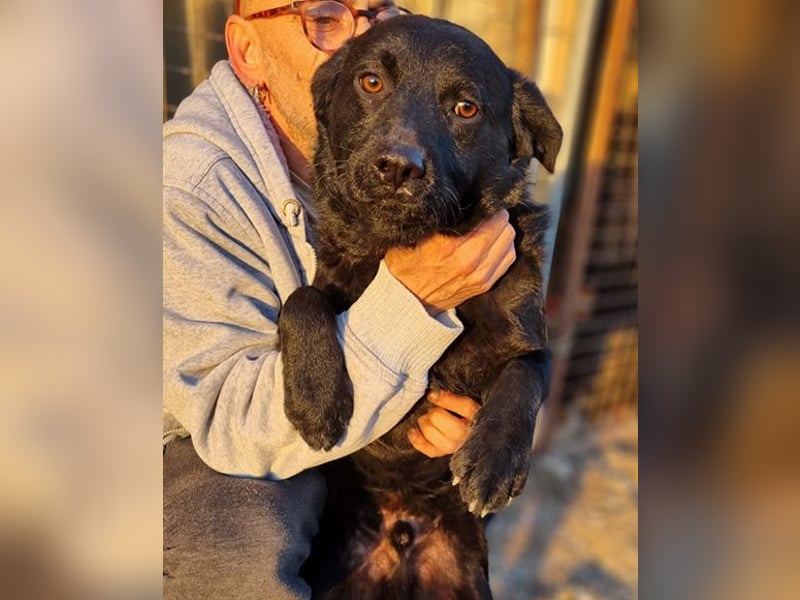 Bruce ❤️ Sanftmütig, loyal, verschmust!