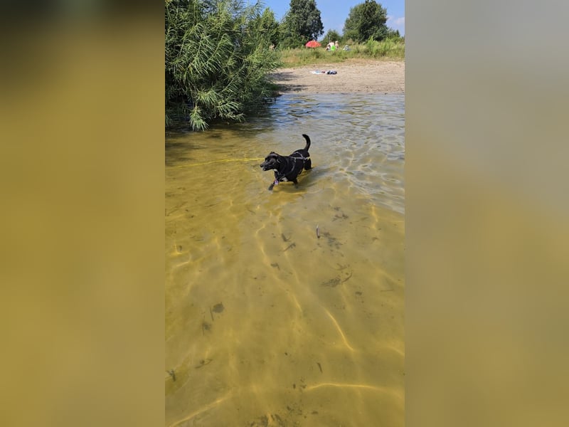 Nikulas, Hallo neues Glück!?