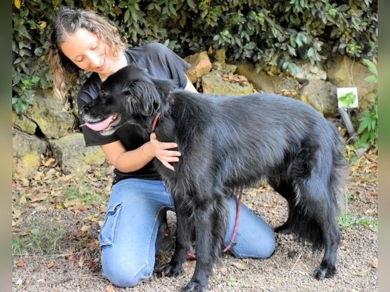 Salvuccio - Ein Schritt Richtung Hundeglück