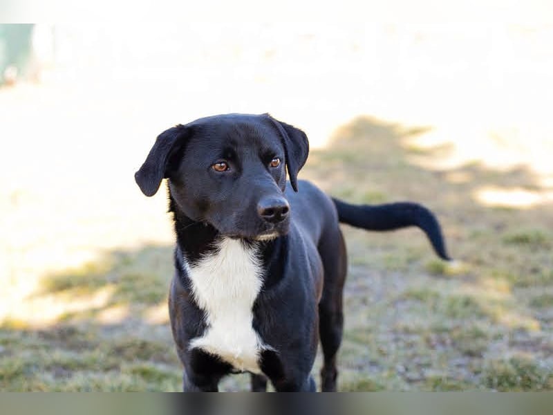 Larry: Sportskanone sucht Gleichgesinnte