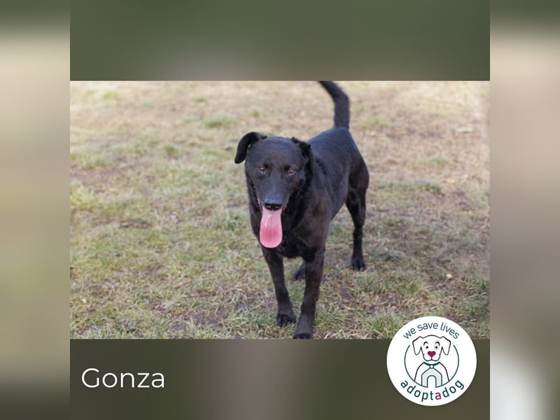 Gonza – Bewegungs-Fan sucht Nähe