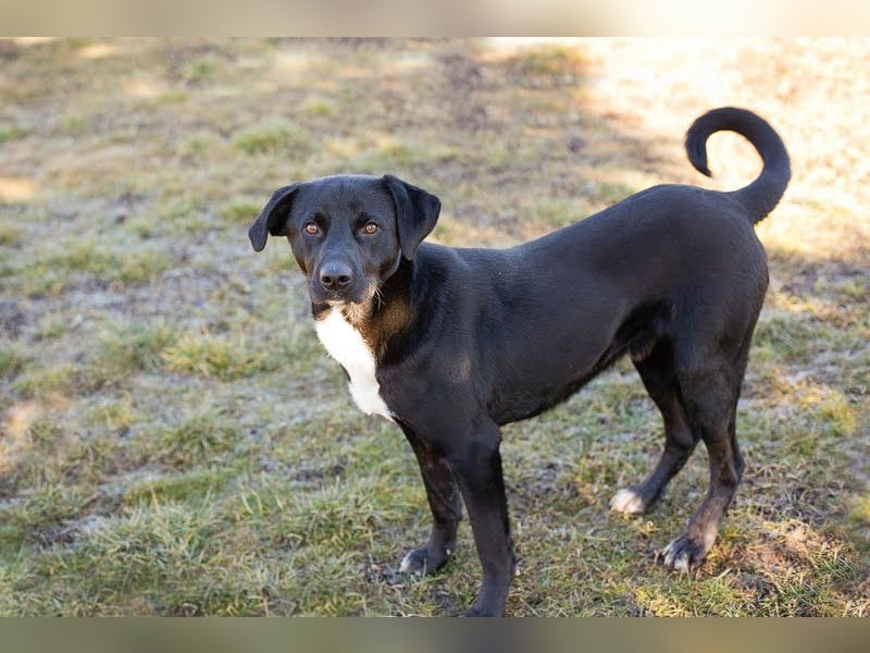 Larry: Sportskanone sucht Gleichgesinnte