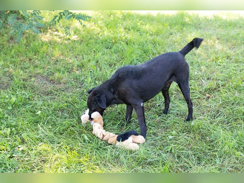 Gonza – Bewegungs-Fan sucht Nähe
