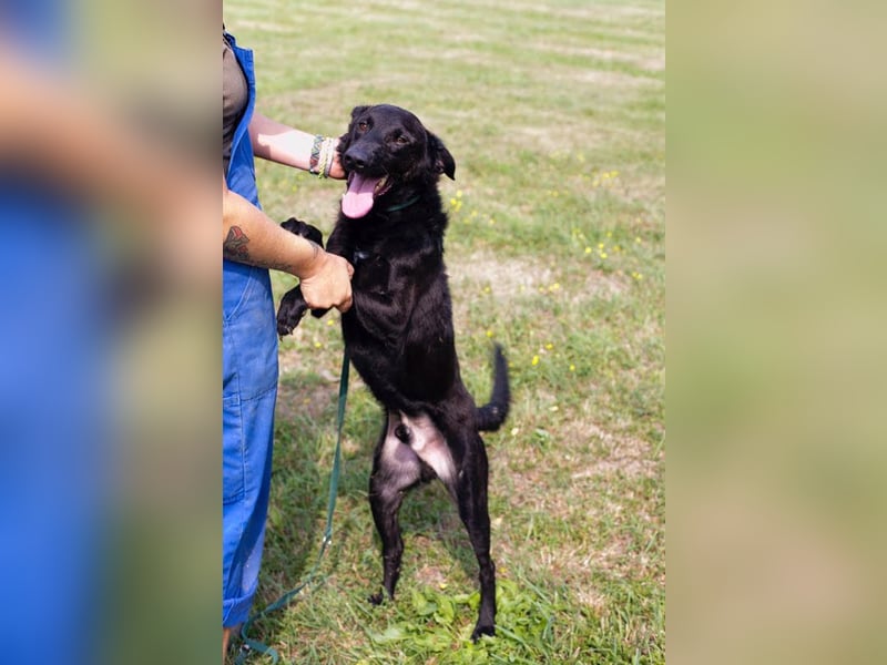 Gonza – Bewegungs-Fan sucht Nähe