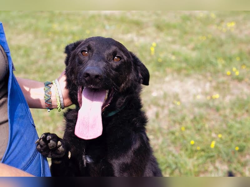 Gonza – Bewegungs-Fan sucht Nähe