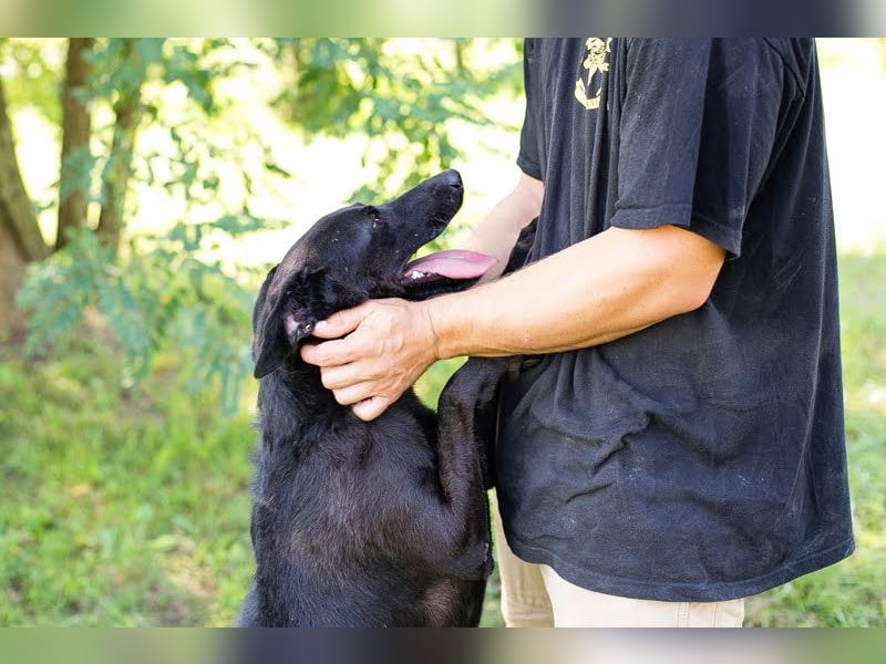 Gonza – Bewegungs-Fan sucht Nähe