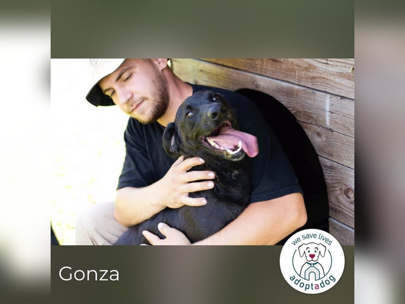Gonza – Bewegungs-Fan sucht Nähe
