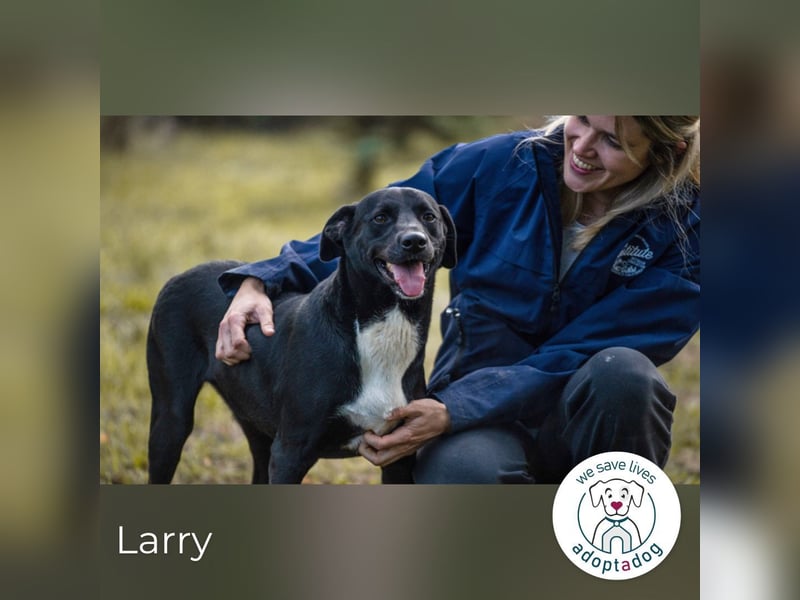Larry: Sportskanone sucht Gleichgesinnte