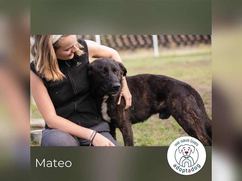 Mateo: sucht Geborgenheit