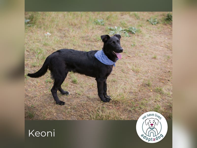 Keoni: ein kleiner Held mit großem Herzen