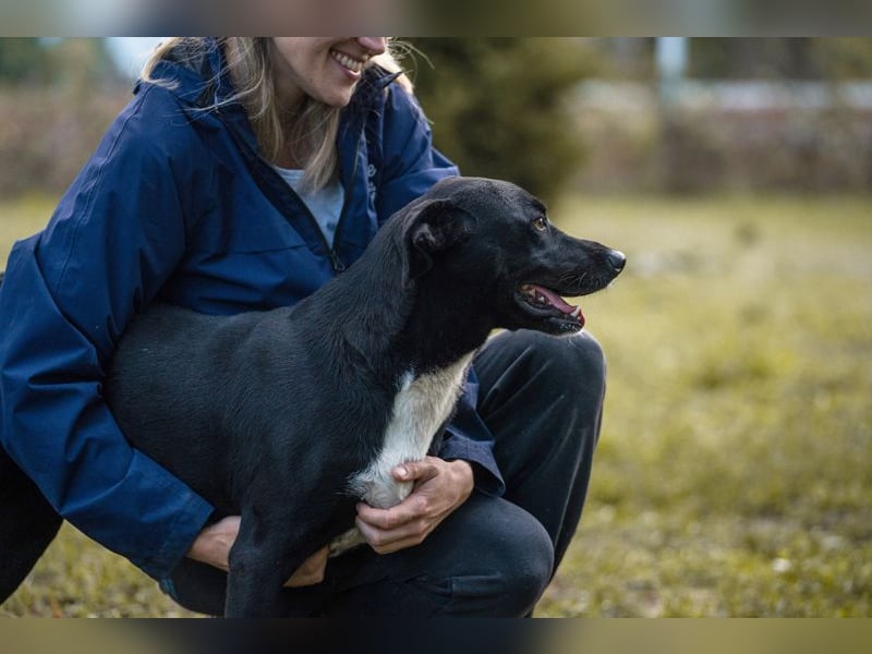 Larry: Sportskanone sucht Gleichgesinnte