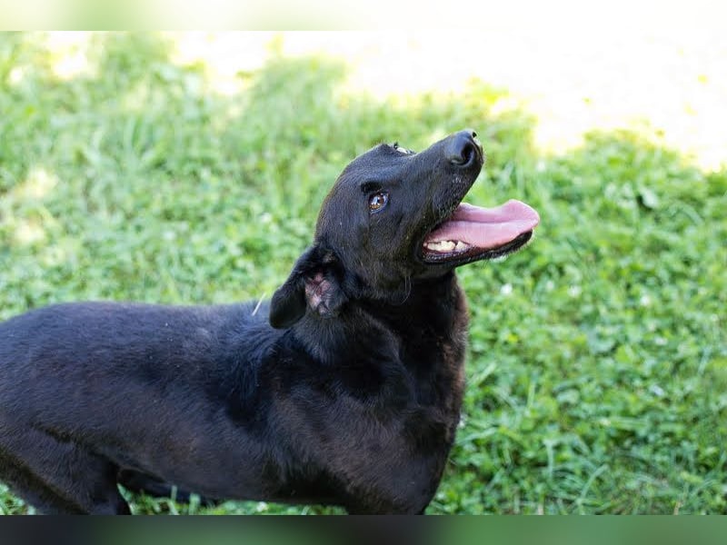 Gonza – Bewegungs-Fan sucht Nähe