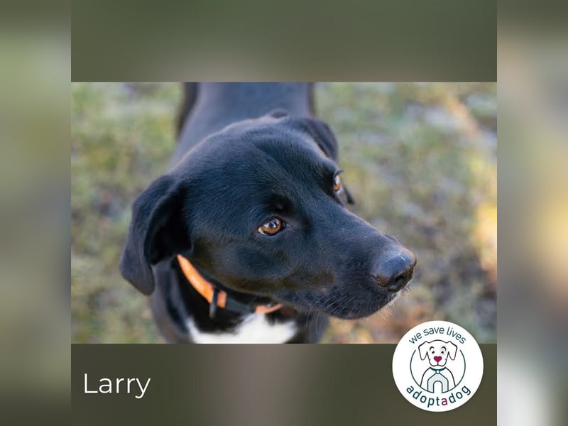 Larry: Sportskanone sucht Gleichgesinnte