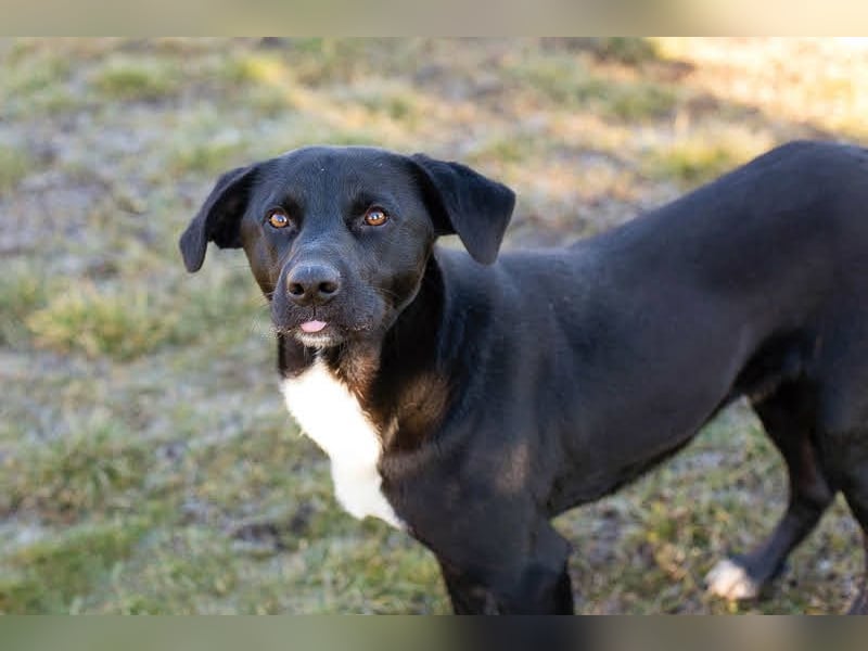 Larry: Sportskanone sucht Gleichgesinnte