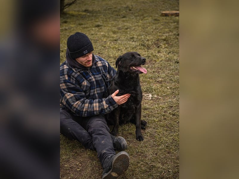 Ivar: Will Abenteuer erleben