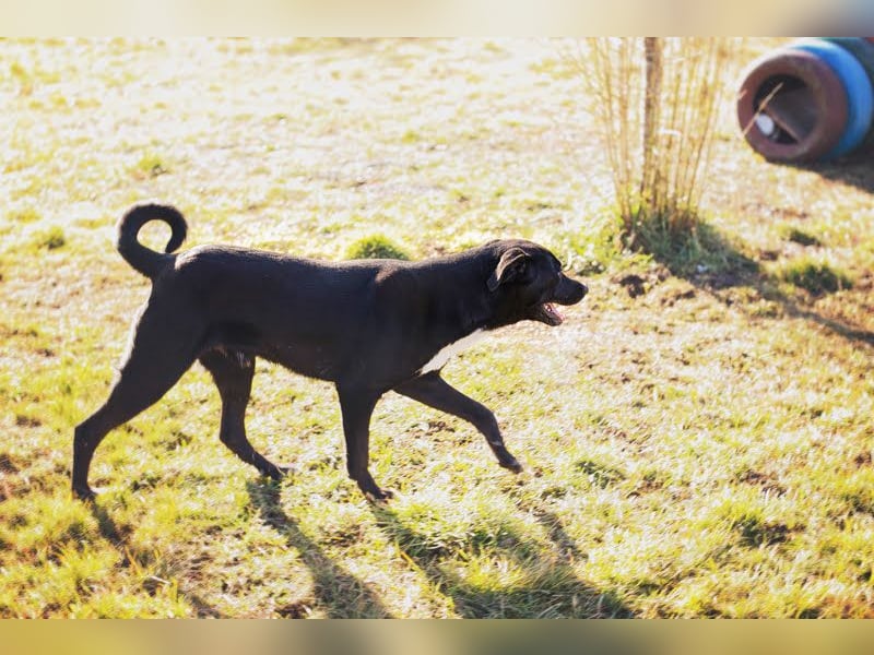 Larry: Sportskanone sucht Gleichgesinnte